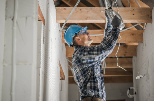 Best Ceiling Fan Installation Electrician  in Peshtigo, WI